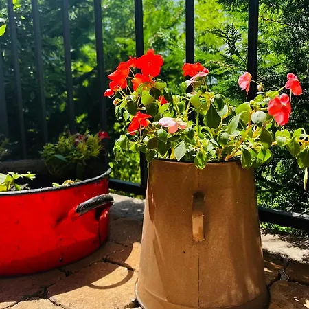 Pensjonat Illaberek Vendeghaz